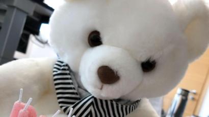 Bild: Alexander Unger
Am 9. September ist Teddybärtag.