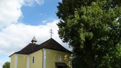 Bild: twg
Vor der Klausenkirche zum Heiligen Kreuz steht eine 300 Jahre alte denkmalgeschützte Linde.