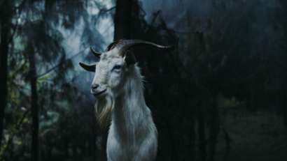 Bild: MPI Media Group
Erstmals auf einer deutschen Leinwand: Der kolumbianische Folk-Horrorfilm "Luz: The Flower of Evil"