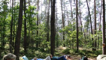 Bild: Christa Münster/exb
Stellen sie sich vor: Sie liegen auf dem Waldboden, ihr Blick geht zu den leicht wiegenden Baumkronen.
Alles ist ruhig. Sie hören nur das Knacksen der Äste ein Rauschen des Waldes.