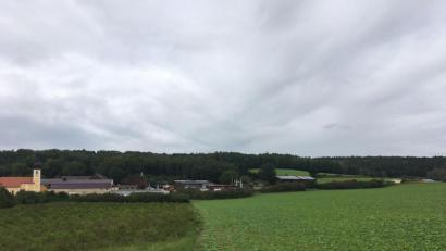 Bild: ihl
Auf dem bewaldeten Hügel nordöstlich von Wolfring sollen Urnen in naturbelassener Umgebung bestattet werden.