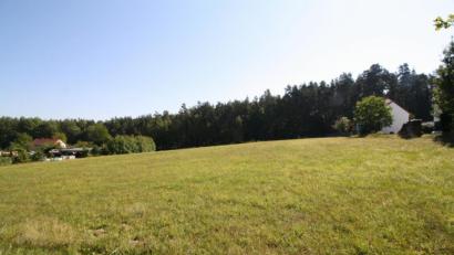 Bild: bjp
Für eine Grundfläche zwischen Paul-Leistritz-Straße und Siedlung Kurbersdorf III will die Gemeinde Trabitz einen Bebauungsplan erstellen.