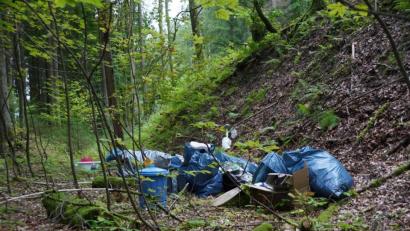 Bild: bkr
Illegale Müllentsorgung bei Immenreuth.