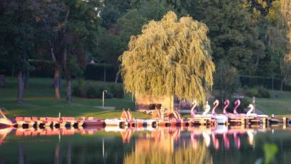 Bild: rn
Abendstimmung am Eschenbacher Rußweiher.
