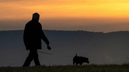 Symbolbild: Sebastian Gollnow/dpa
Ein Gassigeher-Team möchte einer Frau beim Ausführen ihres Hundes helfen. Die Hundehalterin sitzt im Rollstuhl und kann selbst nicht mehr mit ihrem Vierbeiner spazieren gehen.