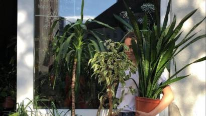 Bild: Anastasia Ilinov/exb
Love or Leaf: Der Secondhand-Shop in Weiden rettet Pflanzen vor der Tonne. Teilweise holen die Mädchen die Pflanzen selbst ab.