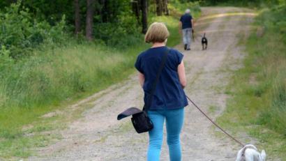 Symbolbild: Gabi Schönberger
Spitz Benni aus dem Landkreis Schwandorf darf bei seinem Frauchen bleiben und, wie der Hund auf dem Bild, wieder Gassi gehen. Ehrenamtliche Helfer holen den Hund zwei Mal täglich für eine Runde ab.