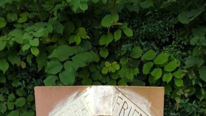 Bild: dob
Der "Meilenstein der Zeit" in der Grünanlage beim Aufgang zur Friedrichsburg wurde von einem unbekannten Täter mit weißer Farbe beschmiert. Wer Beobachtungen gemacht hat, kann sich bei Bürgermeister Andreas Wutzlhofer melden.