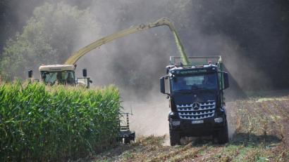 Bild: gsp
Der Mais steht noch auf den Feldern. Die ersten Maschinen zur Silage sind aber bereits unterwegs.