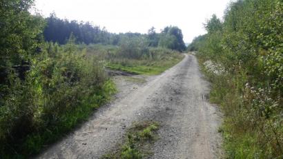 Bild: rn
Über diese bereits bestehende Trasse an der städtischen Erdaushubdeponie (links) soll eine neue Zufahrt zum Gewerbegebiet "Am Stadtwald" entstehen.