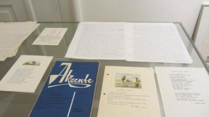 Bild: aks
Originale aus dem Walter-Höllerer-Archiv erweitern den Blickwinkel der Hesse-Sonderausstellung im Literaturhaus Oberpfalz.