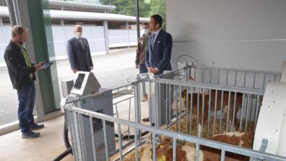 Bild: Kunz
Fachlehrer Matthias Stangl (links) erläutert Bundestagsabgeordnetem Albert Rupprecht (rechts) die digitale Revolution im Kuhstall. Aufmerksame Beobachter sind Leitender Landwirtschaftsdirektor Helmut Konrad (Zweiter von links) und Fachlehrer Korbinian Wittmann (Zweiter von rechts).