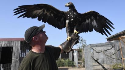 Bild: Petra Hartl
Sie sind ein eingeschworenes Paar – Claus Luber und seine Kattl, das derzeit schmollende Steinadlerweibchen.