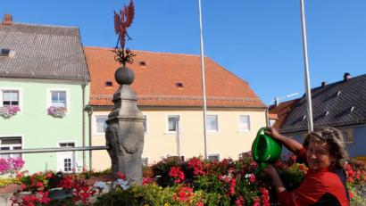 Bild: le
Mit ihrem grünen Daumen hegt und pflegt die frühere Gärtners- und Geschäftsfrau Johanna Lenkeit die Blumen in den Anlagen des Marktes, so auch am Röhrkasten. Dafür gab es Lob und Dank in der letzten Arbeitssitzung des Oberpfälzer Waldvereins.