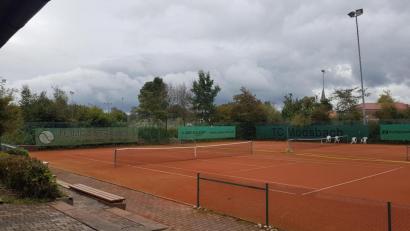 Bild: gi
Auslichten will der Tennisclub den Wildbewuchs von Bäumen und Sträuchern rund um das Tennisgelände. Wird ein Ball über den Zaun gespielt, wird er kaum mehr gefunden.