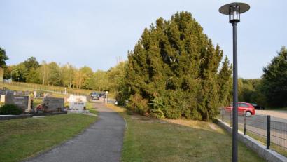 Bild: bnr
Auf dem freien Platz hinter dem Leichenhaus sollen künftig Baumbestattungen möglich werden. Die Baumgruppe wird entfernt und durch zwei neue Bäume ersetzt. .