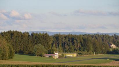 Bild: Benkhardt
Der Großteil der städtischen Waldungen liegt hinter dem Flugplatz im Gebiet Schweißlohe.
