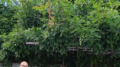 Bild: dob
Schützenmeisterin Renate Kellner freut sich über 5000 Euro aus der Crowdfunding-Aktion der Volksbank Raiffeisenbank Nordoberpfalz. Regionalmarktleiter Anton Zilbauer (rechts) und Kundenberater Reinhard Kellner (links) überreichen den Scheck.