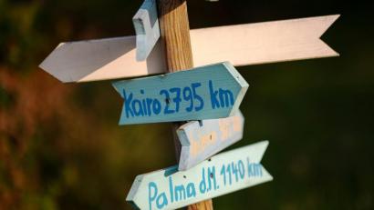 Bild: Sebastian Gollnow/dpa
Nur jeder zwanzigste Mensch in Deutschland will einer Umfrage zufolge in den Herbstferien trotz Corona-Pandemie ins Ausland reisen.