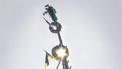 Bild: sus
Gemeinsame Anstrengung und eine Menge Spaß gehören normalerweise am Kirwasamstag dazu, wenn in Fronberg der KIrwabaum aufgestellt wird. Einen Baum gibt's heuer auch. Eine Kirwa nicht.
