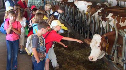 Archivbild: Götz
Viele Kinder sehen beim Projekttag zum ersten Mal, wie Kühe und Kälber gehalten und versorgt werden.