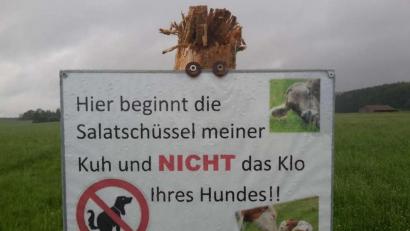 Bild: M. Friess/exb
Oft ignorieren Hundehalter die Hinterlassenschaften ihrer Vierbeiner. Landwirten stößt das sauer auf. Der Hundekot ist eine Gefahr für die Gesundheit ihrer Rinder.
