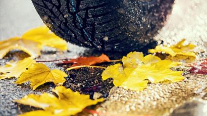 Bild: Roman Maerzinger - stock.adobe.com
Mit Winterreifen ist man auch auf rutschigem Herbstlaub sicherer unterwegs.