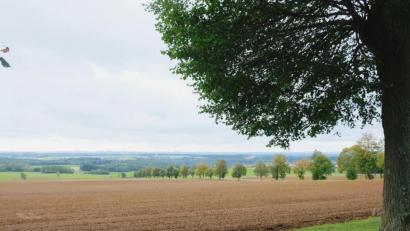Bild: do
Unterschiedlich bewerten die Marktgemeinderäte die geplante Freiflächen-Photovoltaikanlage bei Thurndorf. Die Meinungen reichen von einer Abwechslung des Landschaftsbildes bis zu dessen Verschandelung. Die Aufnahme der Kultur- und Naturlandschaft bei Thurndorf entstand auf dem Kalvarienberg.