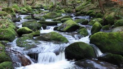 Archivbild: Popp
Das Lerautal ist eine der beliebtesten touristischen Destinationen im Landkreis Neustadt.