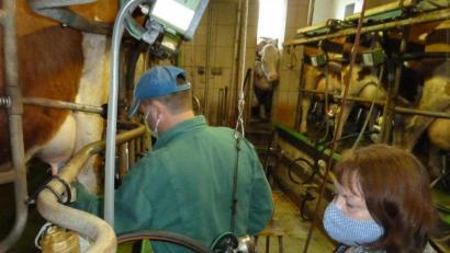 Bild: Portner
Zwischen Euter und Melkmaschine: Probenehmerin Helga Probst ist circa einmal im Monat am Adlbauernhof beim Melken dabei. Landwirt Georg Dirscherl erhält anschließend ein Protokoll der Milchleistungsprüfung.