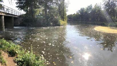 Bild: Gabi Schönberger
Der Flutkanal kann tückisch sein.