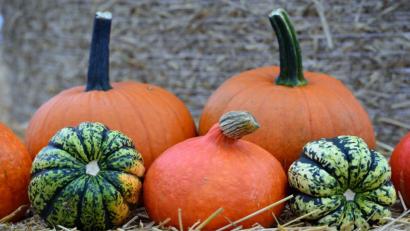 Symbolbild: Martin Schutt/dpa
In der Fußgängerzone in Amberg haben am Montag zwei sturzbetrunkene Männer randaliert. Ihre Zerstörungswut richtete sich unter anderem gegen aufgebaute Deko-Kürbisse.