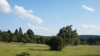 Bild: eib
In vollen Zügen die Landschaft am Grünen Band genießen, wie hier bei Pleš (Plöß) mit extensiver Weidewirtschaft zwischen Lesesteinriegeln und Mauerresten der bis zum Ende des Zweiten Weltkriegs von sudetendeutschen besiedelten Ortschaft - im Hintergrund die Wälder auf bayerischer Seite.