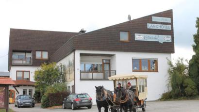 Bild: pi
Erhard Holfelder, Seniorchef des Landhotels "Kastanienhof" in Georgenberg, fährt mit der Kutsche aus. Die Tourismusbranche wird sich auch in den kommenden Monaten auf einen harten Kampf einstellen müssen.