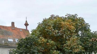 Bild: twg
Die Erstkommunikanten aus Neusorg besichtigten die Staußenfarm Mitterhof.