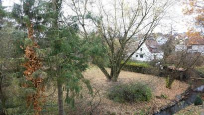 Bild: Wieder
Mit dem Erwerb des benachbarten Lohmer-Anwesens (rechts) hofft der Stadtrat, den Grünzug entlang des Stadtmühlbaches und der Leibnizstraße - trotz der Eingriffe durch den SGW-Zentrale - stärken zu können.