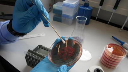 Bild: OTH Amberg-Weiden
Die Arbeitsgruppe Hygiene und Medizintechnik der OTH Amberg-Weiden arbeitet an neuen Ansätzen zur Verbesserung der hygienischen Gesamtsituation im klinischen Umfeld.