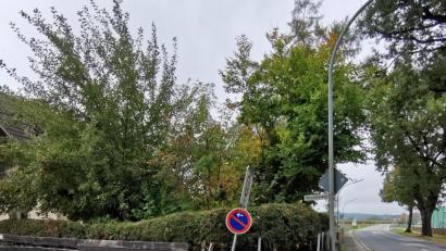 Bild: gz
In den vergangenen 18 Jahren wurde der Zaun insgesamt 20 Mal durch einen Lastwagen beschädigt.