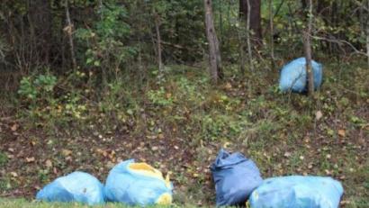 Bild: exb
Diese Müllsäcke mit Glaswolle haben Unbekannte bei Auerbach im Wald entsorgt.