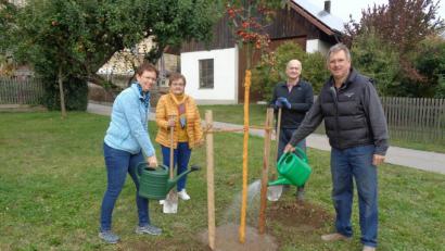 Bild: amö
Die GOV-Vorstandsmitglieder (von links) Gertraud Rötzer, Erika Krämer und Hans Kulzer (rechts), pflanzten den Baum gemeinsam mit Bürgermeister Walter Schauer.