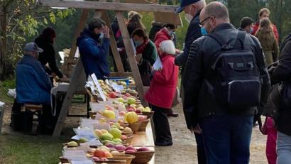 Bild: bnr
100 Apfel- und 20 Birnensorten wurden im Freilandmuseum präsentiert.