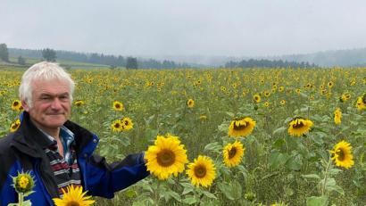 Bild: Völkl
Gut für Biene und Co: Die Blühflächen, die Josef Prey angelegt hat.