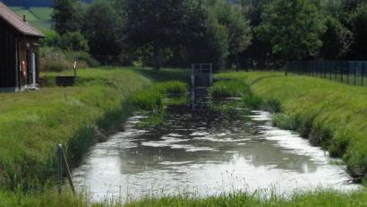Bild: amö
Bei der Sanierung der Kläranlage in Muschenried soll unter anderem dieser Nachklärteich durch ein Nachklärbecken mit festem Boden ersetzt werden. Für das Projekt stehen heuer 230 000 Euro im Gemeindehaushalt.