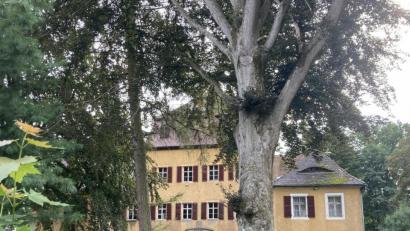 Bild: Holger Stiegler
Bis ins 11. Jahrhundert reichen die Anfänge von Burg und Schloss Kaibitz zurück. Ab 1939 ist der Autor und Drehbuchverfasser Erich Ebermayer der Besitzer. Gegen Ende des Zweiten Weltkriegs befand sich das Gerhart-Hauptmann-Archiv kurzzeitig in dem Gebäude.