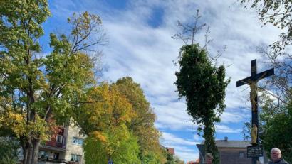 Bild: ads
Bei herrlichem Herbstwetter brachte Bebbo Schuller, Kulturführer und städtischer Marterlführer (rechts), der Gruppe die Bedeutung der Flurdenkmäler näher.