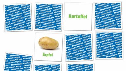 Bild: gld
„Oberpfälzisch-Deutsch-Memo“ von Oberpfalz Medien: Die Oberpfälzer Variante des klassischen Gedächtnisspiels aus Kindheitstagen.
