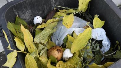 Bild: Petra Hartl
Eine nicht unbeträchtliche Menge Plastik landet seit einiger Zeit im Amberger Biomüll, berichtet Matthias Seuffert vom städtischen Umweltreferat.