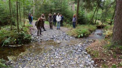 Bild: bsc
Überfahrten und Furten entlang des Grenzbachs wurden auch für Fische durch den Naturpark Steinwald passierbar gemacht. Zur Verhinderung von Feinschlammeinträgen wurden querende Waldwege befestigt.