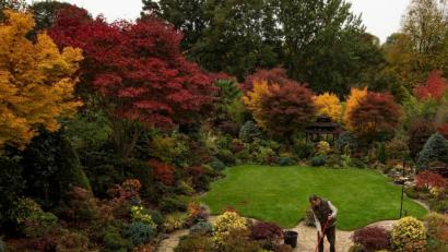 Symbolbild: Jacob King/PA Wire/dpa
Ob Laub zusammenfegen oder Sträucher zurückschneiden: In einem Garten gibt es immer viel zu tun – besonders im Herbst. Da wird die Corona-Quarantäne bestimmt nicht langweilig.