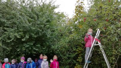 Bild: Grundschule Plößberg/exb
Die Zweitklässler der Grundschule Plößberg bei der Apfelernte.